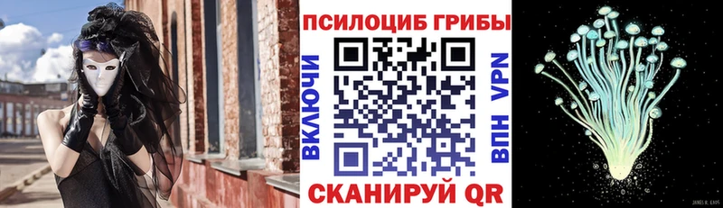 Галлюциногенные грибы Magic Shrooms  Нижняя Тура 