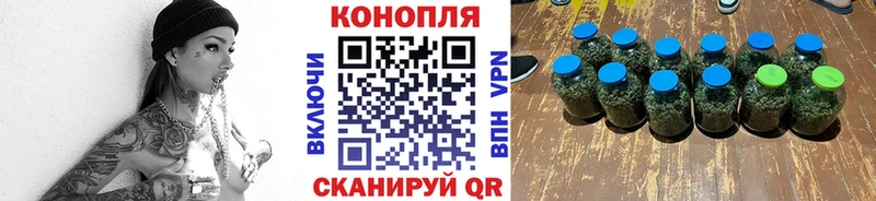 Конопля сатива  Нижняя Тура 